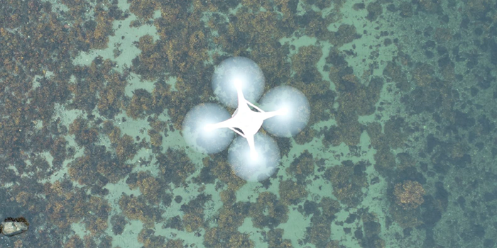Drone filmer vegetation på havbund. Foto: Aris Thomasberger