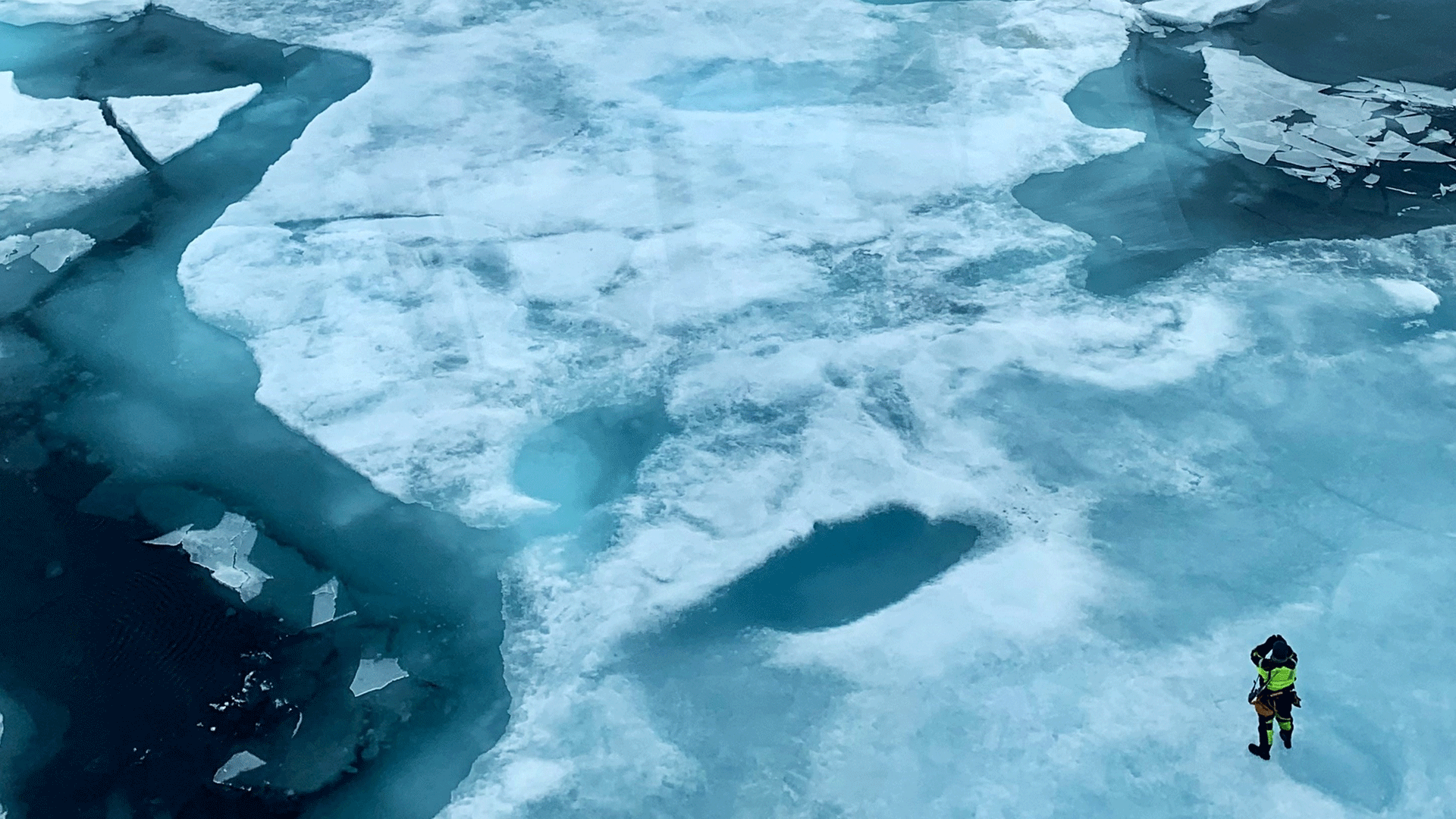 Havis over den nordøstgrønlandske shelf, september 2023. 