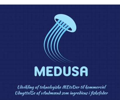 MEDUSA-logo