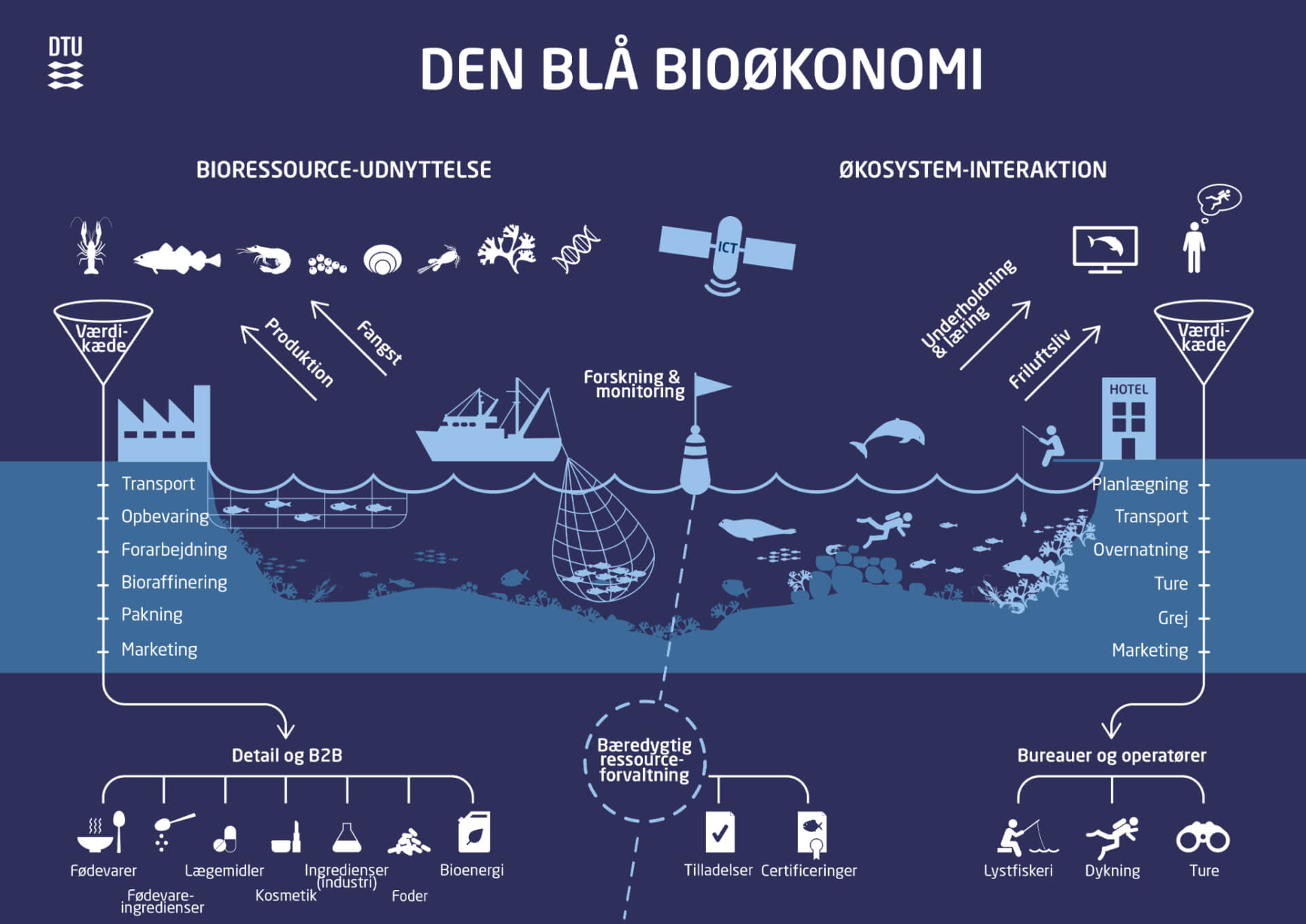 Figur, som illusterer, hvad blå bioøkonomi er