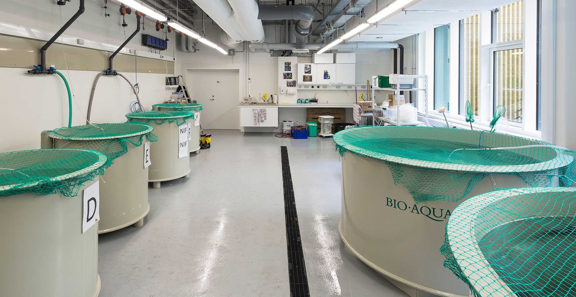 Fish stable at DTU Lyngby Campus