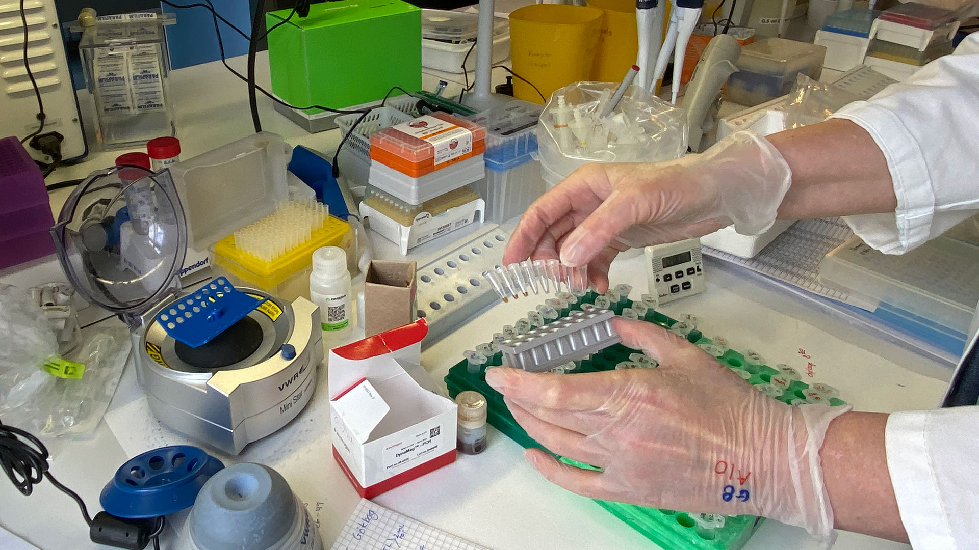 Genetic laboratory at DTU Aqua, Silkeborg