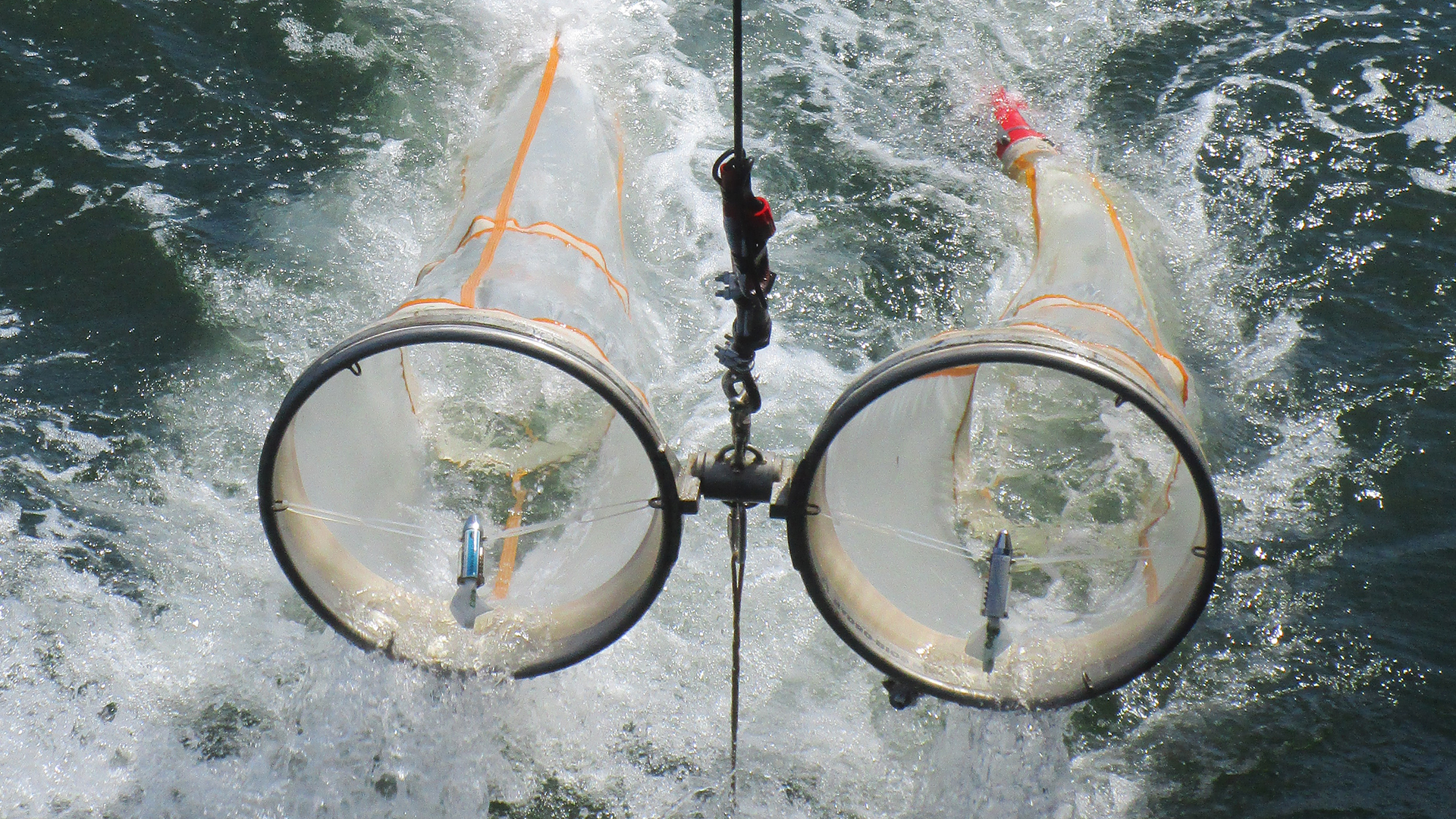 Bongo net for catching small organisms