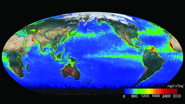 Ocean primary productivity in May 2003 as seen from space with the Global Imager