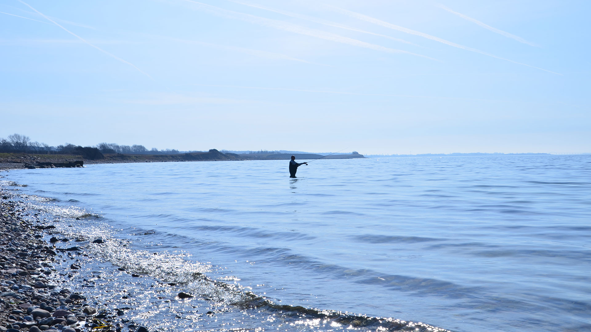 Angler standing in shallow waters at the coast