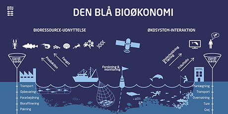 Blå bioøkonomi. Grafik: DTU Aqua.